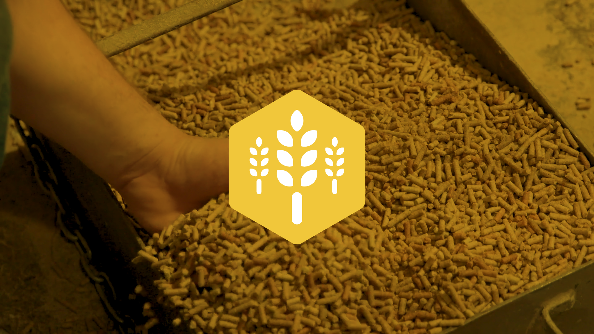 Smithfield Hog Production Improves Feed Mill Operations with Modern SCADA Platform