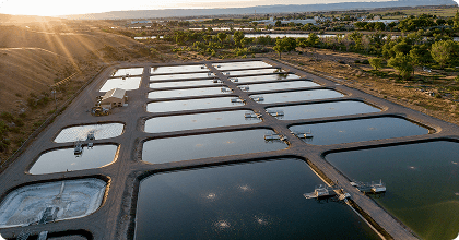 Pools of water